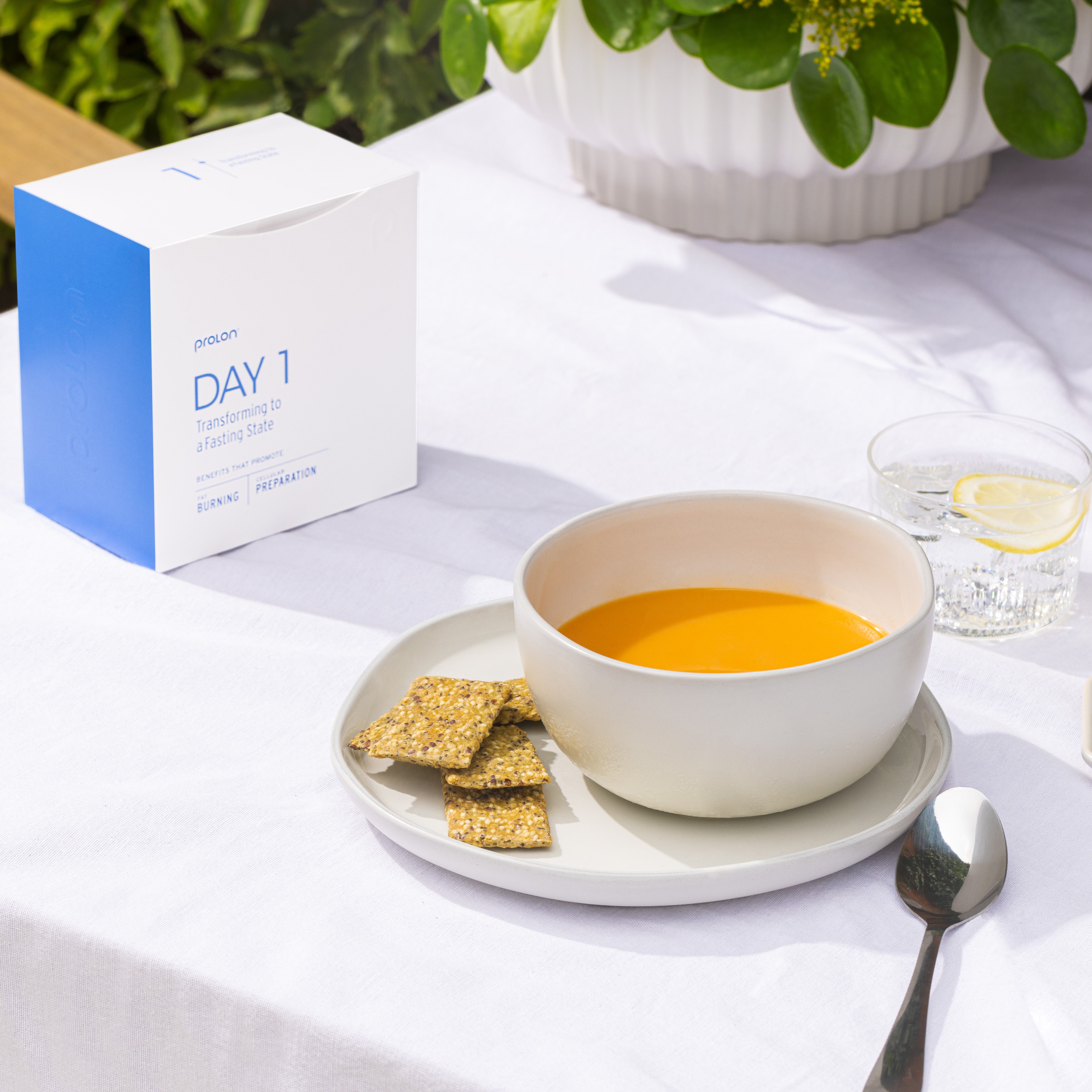 Prolon 5-day anti-aging & weightloss program